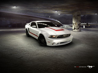 White mustang red stripe hood - a red stripe free wallpaper