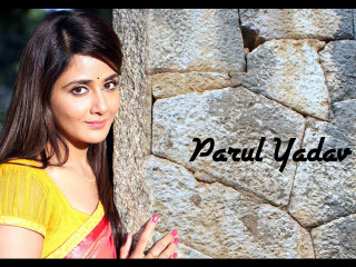 Woman stonewall parulyadar videoart ellaguru - leaning free wallpaper for desktop