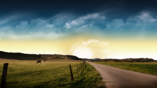 Horse grazing green field cloudy - a road under a cloudy sky free wallpaper