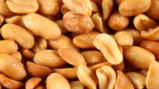 Pile of nuts shell filled - product photo free wallpaper