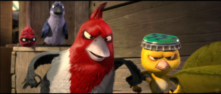 Angry birds cartoon wooden floor - angry bird free wallpaper