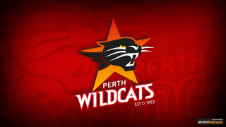 Red black logo star cat - cat free wallpaper