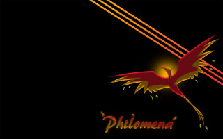 Red bird yellow tail flying - a yellow tail free wallpaper for desktop