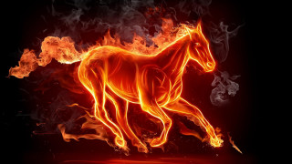 Horse running fire field black 5 - a horse free wallpaper for desktop