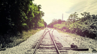 Train track person sitting trees - digital photography free wallpaper
