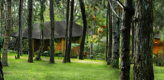 Cabin woods pathway forest river - nature free wallpaper