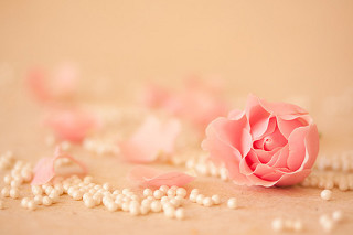Pink rose pearls tablecloth scattered - pearl free wallpaper