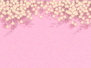 Pink white flower field spring - white flower free wallpaper for desktop
