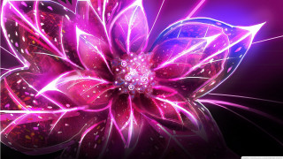 Purple flower glowing pink petals - a pink center free wallpaper
