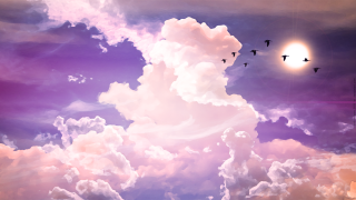 Flock birds flying cloudy sky 9 - a sun in the background free wallpaper