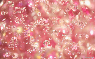 Pink bubbles underwater microscopic holography - a bunch of bubbles free wallpaper
