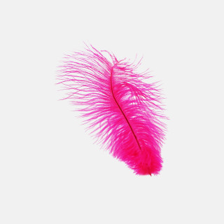Pink feather flying air white 2 - figuration libre free wallpaper for tablet