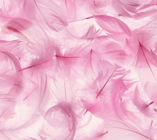 Pink background feathers white background - david lachapelle free wallpaper for tablet
