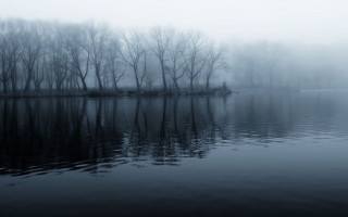 Lake trees fog water reflections 4 - gloomy atmosphere free wallpaper