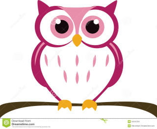 Pink owl sitting branch big - a big nose free wallpaper