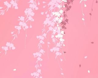 Pink background white flowers leaves - white flower and leaves free wallpaper for desktop