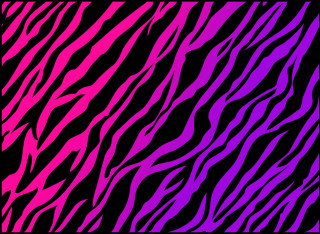 Pink purple zebra print black - gaudy color free wallpaper