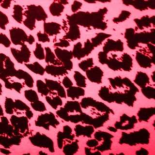 Pink black animal print fabric 7 - andy warhol free wallpaper for tablet