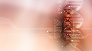 Double stranded spiral red white - double free wallpaper