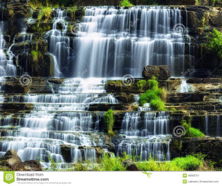 Waterfall green plants naturalism detailed - green plant free wallpaper