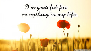 Red flowers grateful everything life 2 - everything free wallpaper