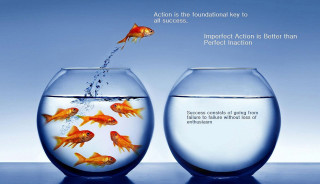 Goldfish jumping bowl quote water - a quote above free wallpaper