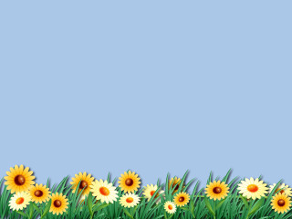 Yellow flowers blue background white - a row free wallpaper