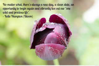 Pink flower quote on it 3 - erin hanson free wallpaper