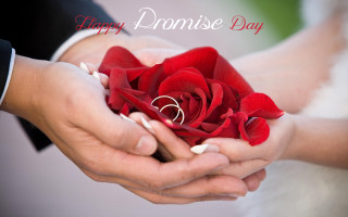 Couple red rose wedding ring - a couple holding free wallpaper