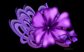 Purple flower black background abstract - this image free wallpaper for desktop