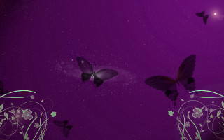 Purple background butterflies flying star 4 - butterfly free wallpaper