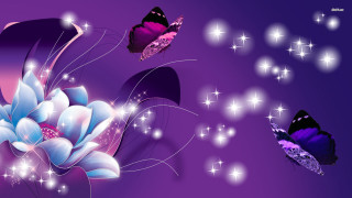 Purple background butterflies flower stars - a purple background free wallpaper