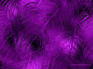 Purple background feathers black background - art deco free wallpaper