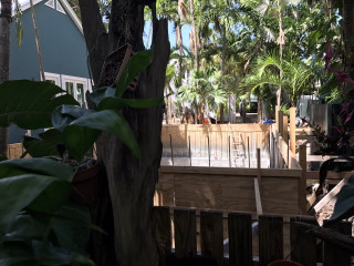 Wooden deck trees plants backyard - temporary art free wallpaper