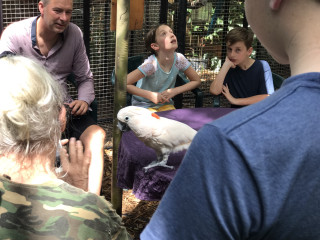 Group people parrot cage man - david teniers iii free wallpaper