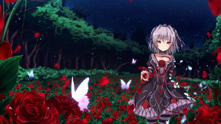 Girl field roses butterfly hand - her hand and a bird free wallpaper