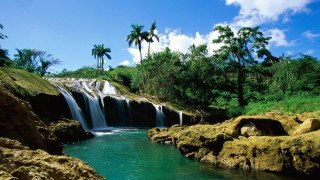 Tropical waterfall cascade palm trees 4 - tropical free wallpaper