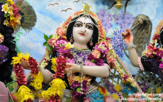 Statue woman bird shoulder bird - her shoulder and a bird free wallpaper