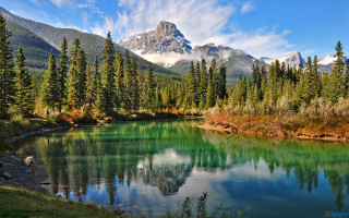 Mountain lake trees foreground distant - a lake in the foreground and trees free wallpaper