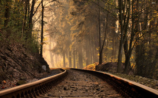 Train track forest trees foggy - a foggy sky free wallpaper