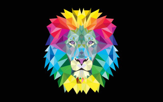 Colorful lion head black background - white background free wallpaper for desktop