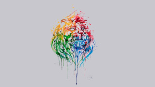 Colorful bird paint splatters face - crayon art free wallpaper
