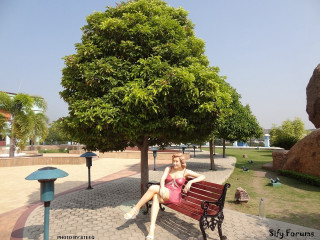 Woman sitting bench park tree - bengal school of art free wallpaper