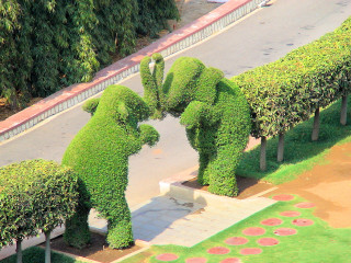 Topiary elephants park walkway trees - a park area free wallpaper