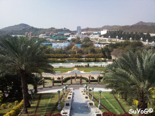 Park trees benches tables zenith - zenith view free wallpaper for desktop