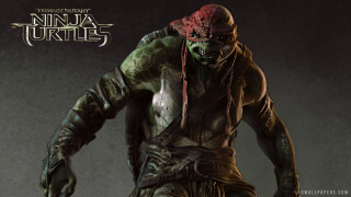 Ninja turtles character image description - a character free wallpaper