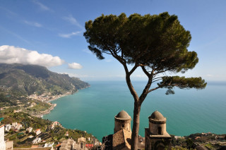 Tree hill water town mountain - cagnaccio di san pietro free wallpaper for desktop