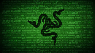 Green background black snake words - altichiero free wallpaper