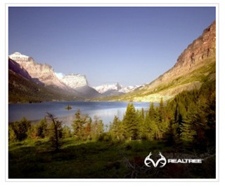 Lake mountains trees sky background - the picture free wallpaper for desktop