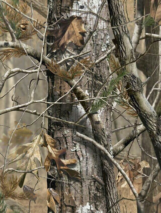 Camouflage background tree camouflage background - a hyperrealistic painting free wallpaper for mobile